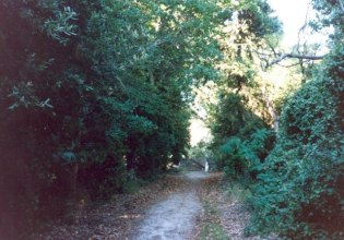 Το Αργοστόλι ανοίγει τα μονοπάτια του στους πεζοπόρους