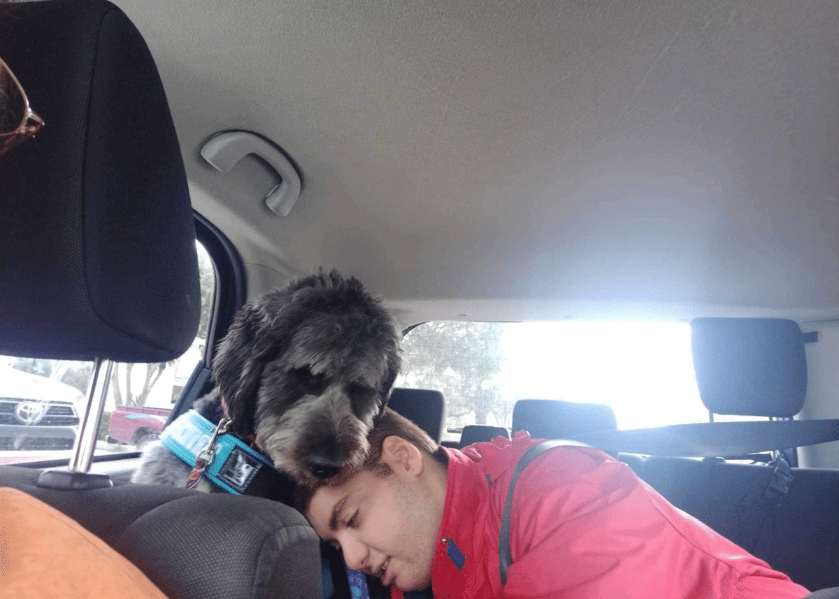 Πώς οι σκύλοι – βοηθοί  αλλάζουν τη ζωή των παιδιών με αυτισμό