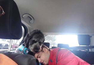 Πώς οι σκύλοι – βοηθοί αλλάζουν τη ζωή των παιδιών με αυτισμό