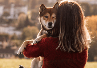 Ποιος είναι ο σωστός τρόπος να σηκώνουμε τον σκύλο μας και γιατί