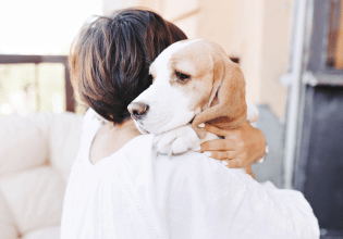 Μόρβα στους σκύλους: Μια σοβαρή, αλλά προλήψιμη ασθένεια
