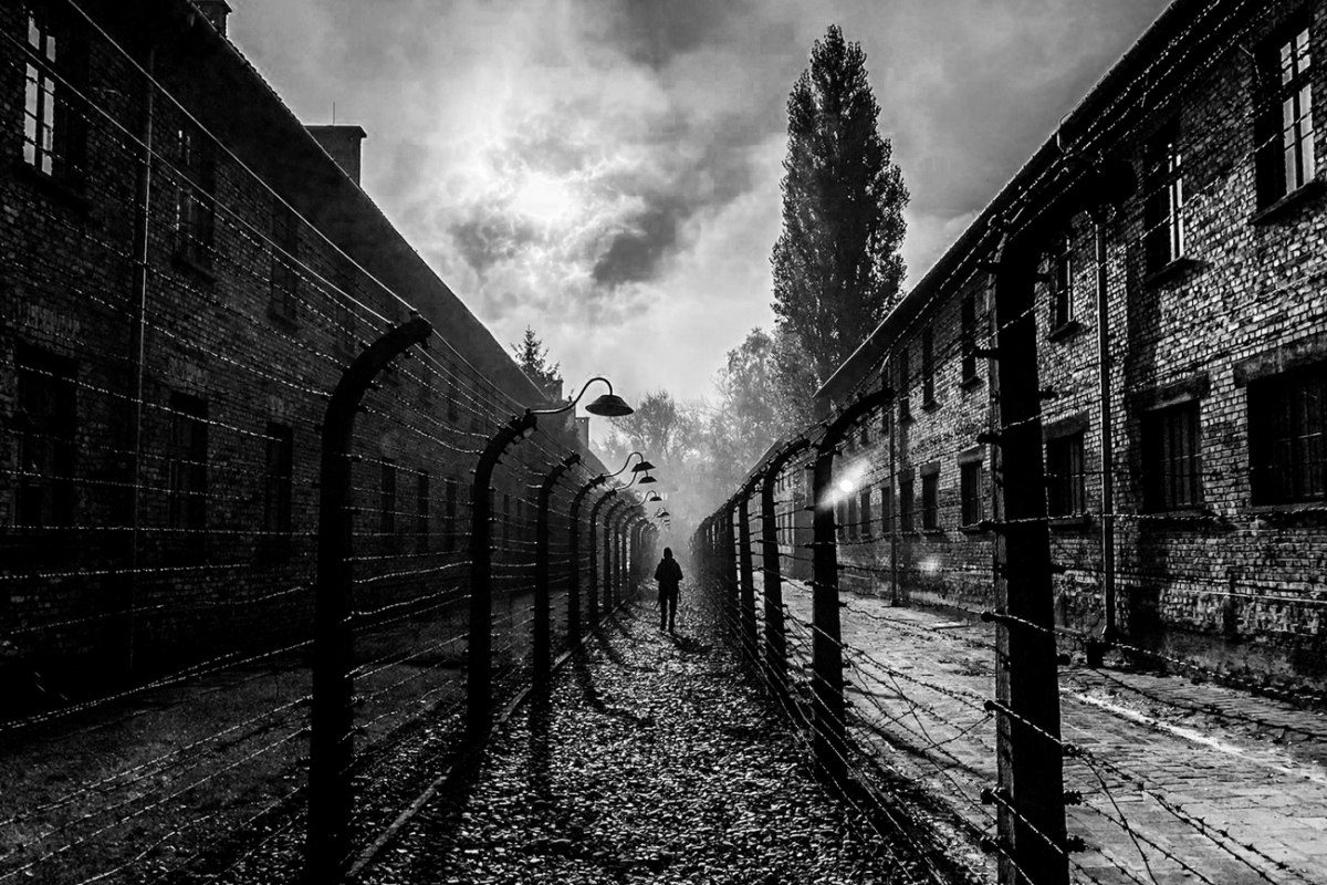 «Tell Me / Πες μου»: Ένα ταξίδι μνήμης για το Ολοκαύτωμα κάνει παγκόσμια πρεμιέρα στο Φεστιβάλ Ντοκιμαντέρ Θεσσαλονίκης