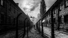 «Tell Me / Πες μου»: Ένα ταξίδι μνήμης για το Ολοκαύτωμα κάνει παγκόσμια πρεμιέρα στο Φεστιβάλ Ντοκιμαντέρ Θεσσαλονίκης