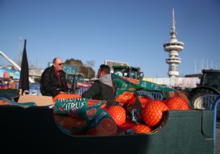 Μέση Ανατολή: «Πονοκεφάλους» στην κυβέρνηση για την ενεργειακή κρίση – Ο αγροτικός τομέας και οι αυξήσεις στο ράφι