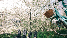 Άνοιξη: Η καλύτερη εποχή για νέα πράγματα