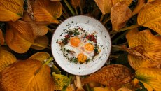 Διατροφή: Πώς επηρεάζουν τα αυγά την καρδιά μας;