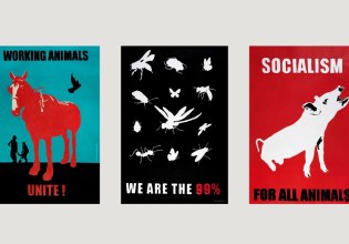 ΕΜΣΤ: Διήμερο Συμπόσιο για τα μη ανθρώπινα ζώα στην κοινωνία