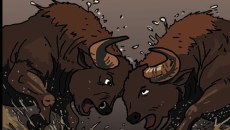 Αρκάς: Η καλημέρα της Πέμπτης