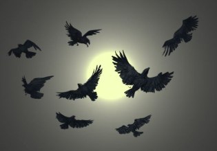 Αρκάς: Η καλημέρα της Πέμπτης