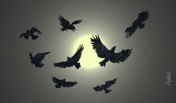 Αρκάς: Η καλημέρα της Πέμπτης