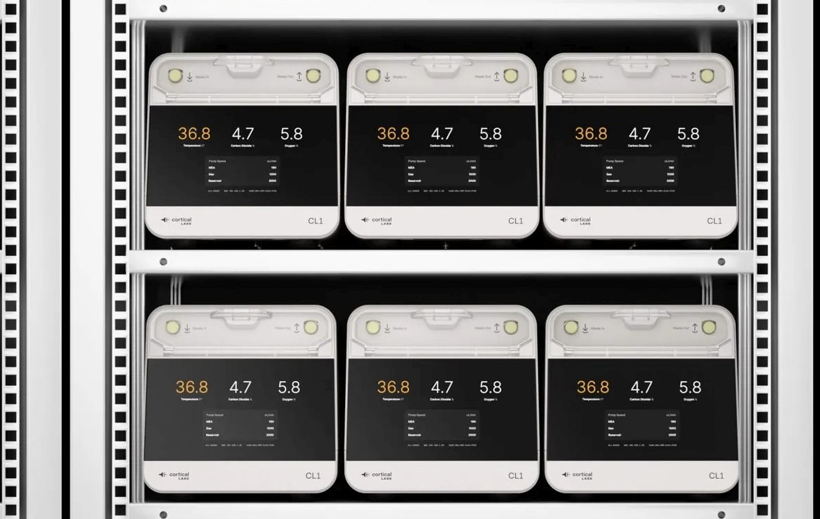 Οι υπολογιστές CL1 μπορούν να συνδεθούν σε συστοιχίες (Cortical Labs)
