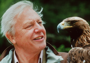 Η απροσδόκητη εκπομπή του Ντέιβιντ Ατένμπορο στα 99 του – Ενδέχεται να εξοργίσει τους λάτρεις των γατών