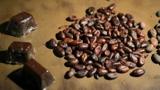 Έφτιαξαν… σοκολατένιο μέλι με ισχυρές αντιοξειδωτικές ιδιότητες