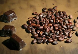 Έφτιαξαν… σοκολατένιο μέλι με ισχυρές αντιοξειδωτικές ιδιότητες