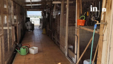 Αμπελόκηποι: Αυτή είναι η παράνομη στάνη με κατσίκες και κοτόπουλα στον 16ο όροφο του Πύργου Αθηνών