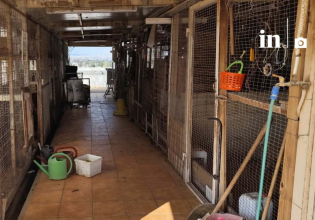 Αμπελόκηποι: Αυτή είναι η παράνομη στάνη με κατσίκες και κοτόπουλα στον 16ο όροφο του Πύργου Αθηνών