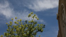 Αίθριος ο καιρός την Τρίτη με άνοδο της θερμοκρασίας