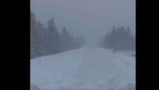 Καλάβρυτα: Επιχείρηση απεγκλωβισμού οδηγών λόγω έντονης χιονόπτωσης – Χιονοθύελλα στο χιονοδρομικό κέντρο