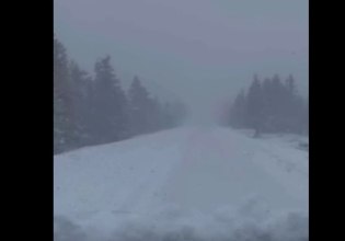 Καλάβρυτα: Επιχείρηση απεγκλωβισμού οδηγών λόγω έντονης χιονόπτωσης – Χιονοθύελλα στο χιονοδρομικό κέντρο