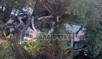 Καλάβρυτα: Οδηγός καρφώθηκε σε δέντρο – Σώθηκε από θαύμα