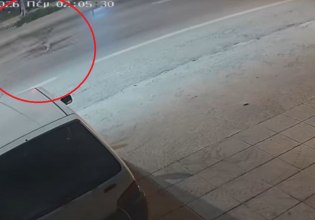 Αλεξάνδρεια: Λύκοι κάνουν βόλτα έξω από σπίτια – Βίντεο ντοκουμέντο