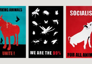 (Against) Animal Capitalism: Διήμερο Συμπόσιο για τη θέση της μη ανθρώπινης ζωής στην κοινωνία στο ΕΜΣΤ