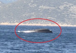 Βύθιση σκάφους της Frontex στο Καστελόριζο – Η κατάσταση των τραυματιών