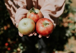 Πέντε φρούτα που κάνουν τη διαφορά