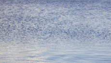 Νέο μακάβριο εύρημα στη Χαλκιδική: Ανθρώπινο κρανίο και οστά βρέθηκαν σε τεχνητή λίμνη ξενοδοχείου