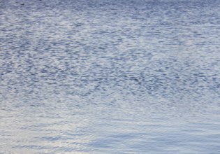 Νέο μακάβριο εύρημα στη Χαλκιδική: Ανθρώπινο κρανίο και οστά βρέθηκαν σε τεχνητή λίμνη ξενοδοχείου