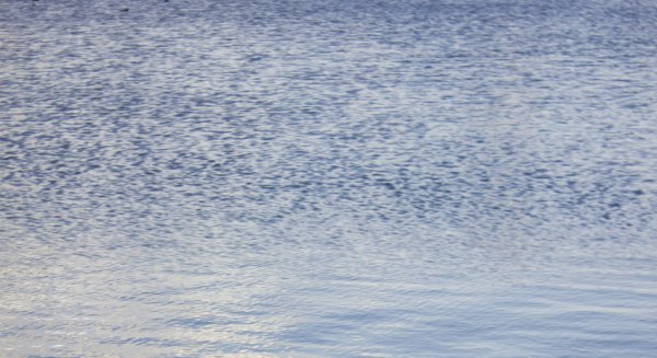 Νέο μακάβριο εύρημα στη Χαλκιδική: Ανθρώπινο κρανίο και οστά βρέθηκαν σε τεχνητή λίμνη ξενοδοχείου