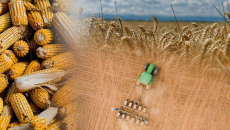 Μέση Ανατολή: Τι μπορεί να πυροδοτήσει παγκόσμια επισιτιστική κρίση