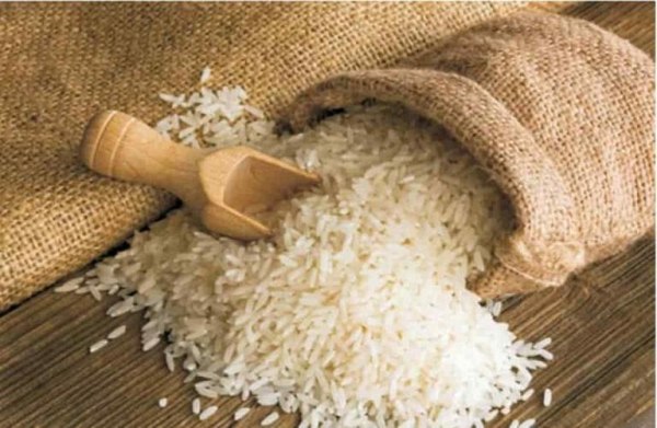 EU Rice Sector Faces Crisis Amid Rising Imports