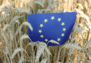 Νέος κανονισμός της ΕΕ για τις αθέμιτες εμπορικές πρακτικές στα αγροτικά προϊόντα