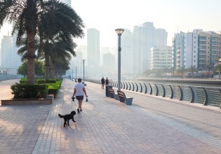 Ειδική πτήση επαναπατρισμού για Έλληνες πολίτες με κατοικίδια