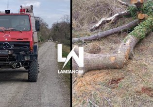 Τραγωδία στη Λαμία – Νεκρός 68χρονος που έκοβε ξύλα και καταπλακώθηκε από δέντρο μπροστά στη γυναίκα του