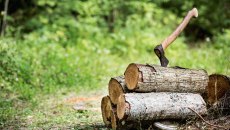 Αχαΐα: Πήγε να κόψει ξύλα στο δάσος, τραυματίστηκε με το τσεκούρι του και ξεψύχησε αβοήθητος