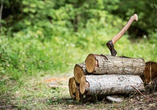Αχαΐα: Πήγε να κόψει ξύλα στο δάσος, τραυματίστηκε με το τσεκούρι του και ξεψύχησε αβοήθητος