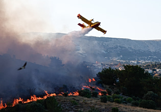 Φωτιά σε δασική έκταση στο Λέπρεο Ηλείας – Επιχειρεί ένα αεροσκάφος