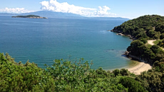 ΥΠΕΝ: «Παράθυρο» για χτίσιμο σε περιοχές Natura