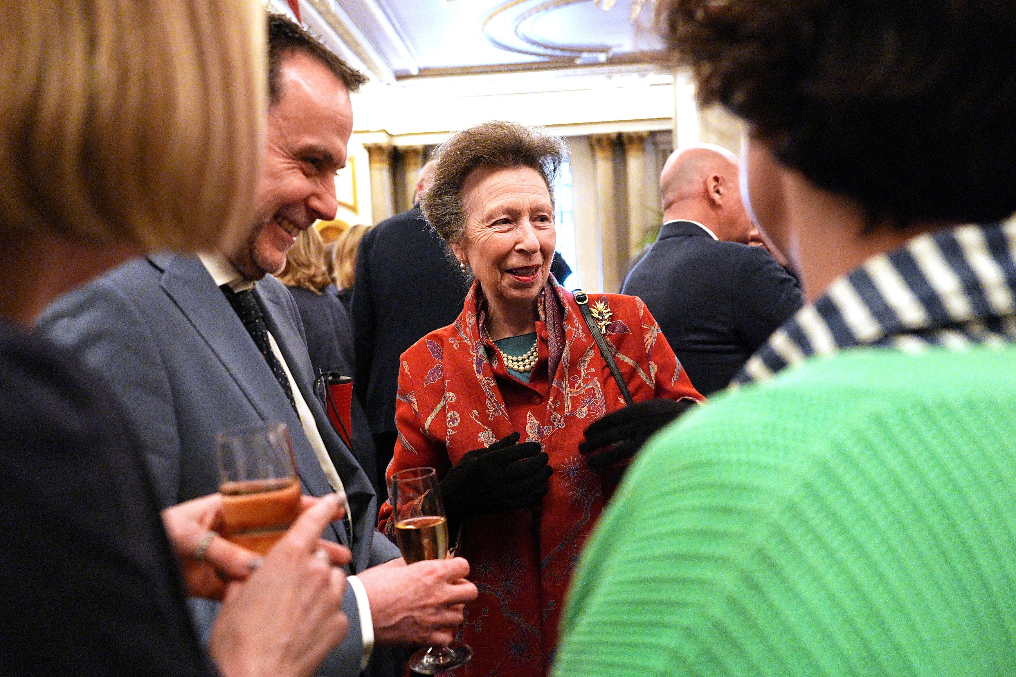 Πριγκίπισσα Άννα