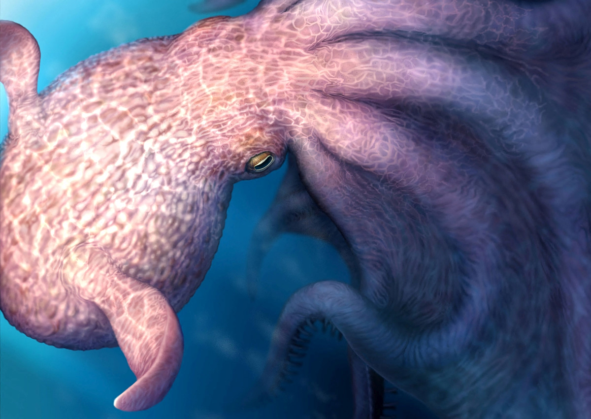 Κυρίαρχοι των κρητιδικών θαλασσών: Αρπακτικά χταπόδια των 20 μέτρων