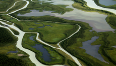 Η στάθμη ανεβαίνει, η γη υποχωρεί – Εκατομμύρια άνθρωποι απειλούνται καθώς οι εκβολές των ποταμών βυθίζονται