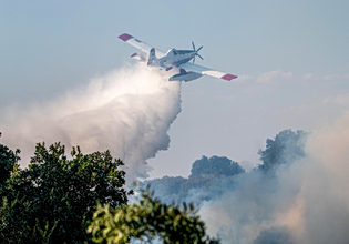Φωτιά σε δασική έκταση στη Σκιάθο – Μεγάλη κινητοποίηση της πυροσβεστικής