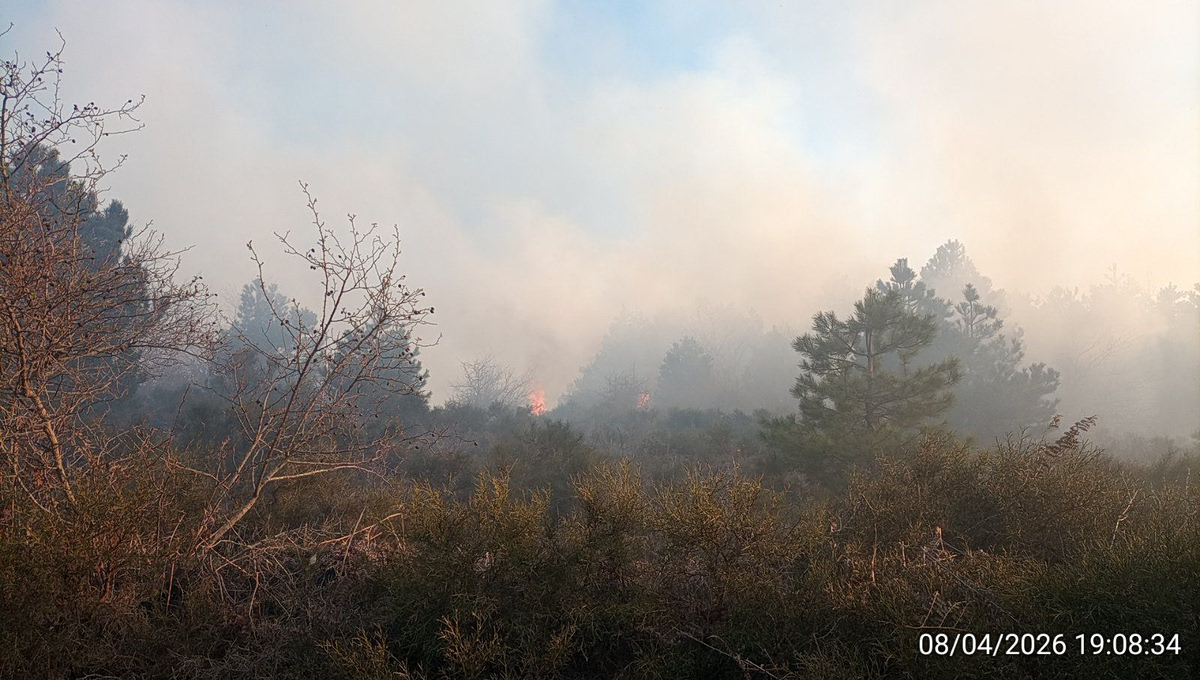Φωτιά στον Πάρνωνα – Επιχειρούν ισχυρές πυροσβεστικές δυνάμεις