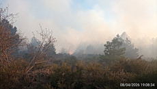 Φωτιά στον Πάρνωνα – Επιχειρούν ισχυρές πυροσβεστικές δυνάμεις
