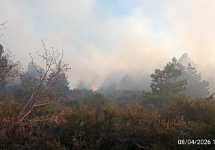 Φωτιά στον Πάρνωνα – Επιχειρούν ισχυρές πυροσβεστικές δυνάμεις