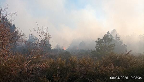 Φωτιά στον Πάρνωνα – Επιχειρούν ισχυρές πυροσβεστικές δυνάμεις