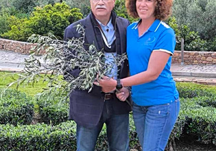 Κοπή κότινου από την Αρχαία Ελιά Βουβών στο πλαίσιο του 10ου Μαραθωνίου Κρήτης από τον Δήμο Πλατανιά