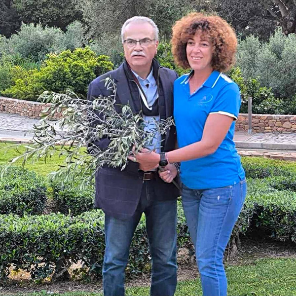 Κοπή κότινου από την Αρχαία Ελιά Βουβών στο πλαίσιο του 10ου Μαραθωνίου Κρήτης από τον Δήμο Πλατανιά